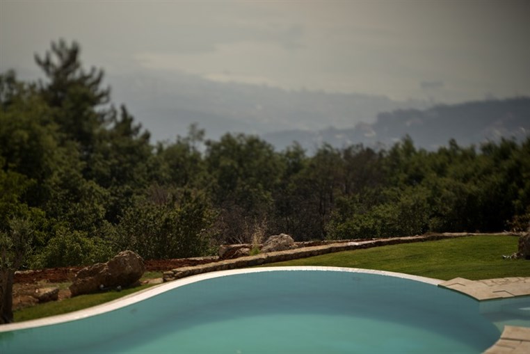 Zenotel Wellness Retreat Bhersaf 